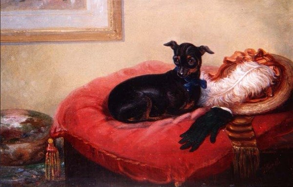 O seu animal de estimação preferido: um Manchester Terrier numa almofada vermelha de Thomas Smythe
