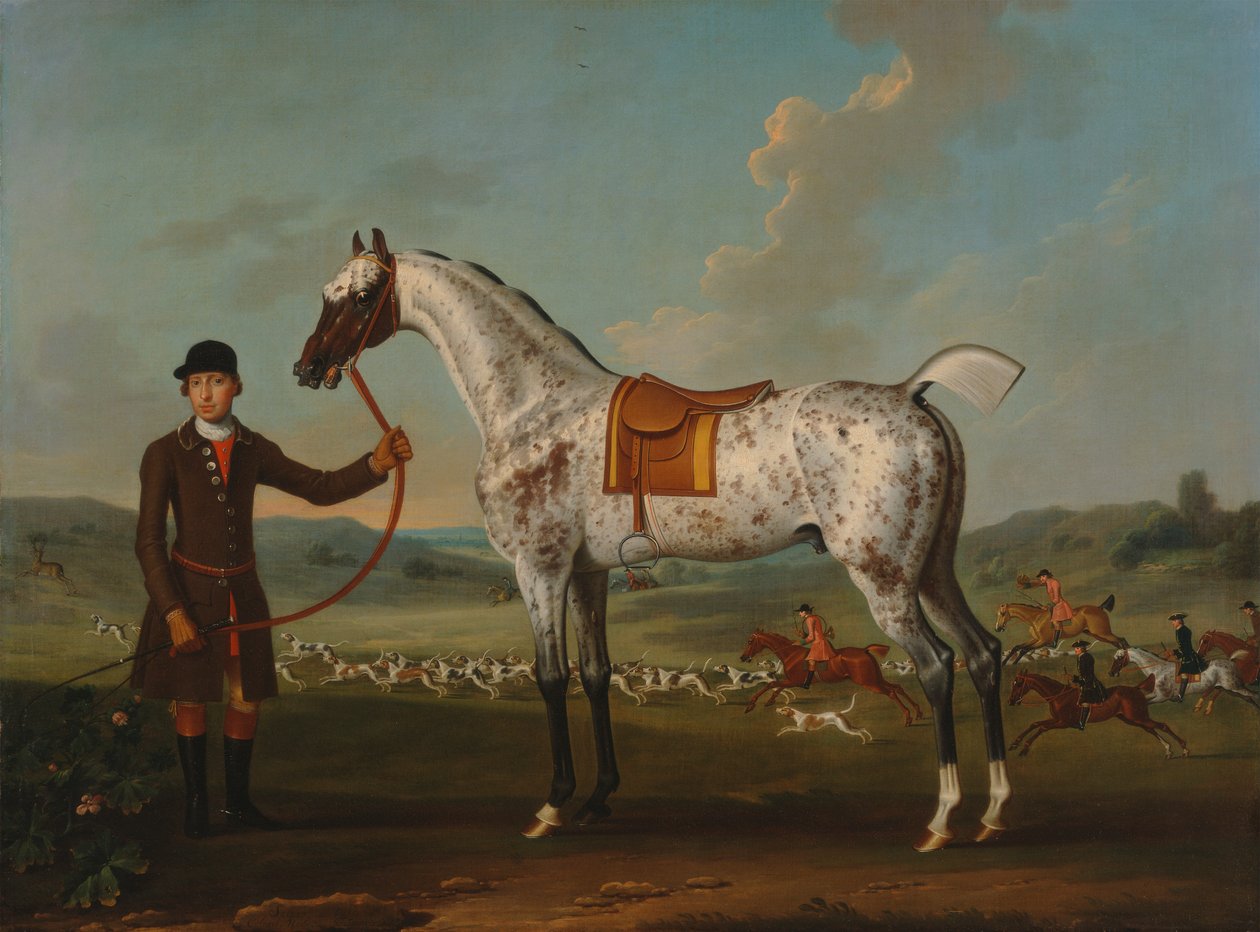 Scipio, um caçador malhado, propriedade do Coronel Roche de Thomas Spencer