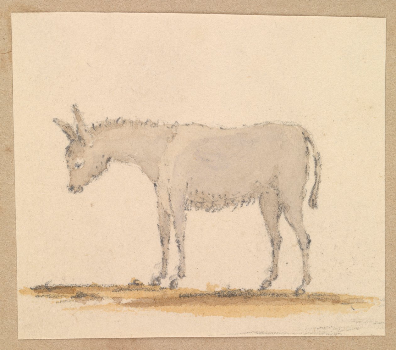 Estudo de um burro, c.1820 (caneta e tinta, lavagem, aguarela) de Thomas Streatfeild