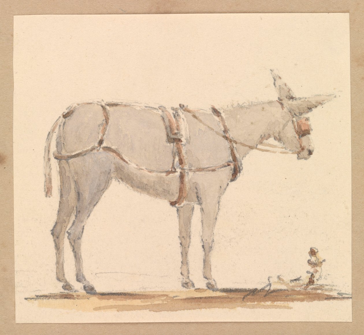 Estudo de um burro com freio e arreios, c.1820 (lápis com lavagem castanha e cinzenta sobre papel) de Thomas Streatfeild