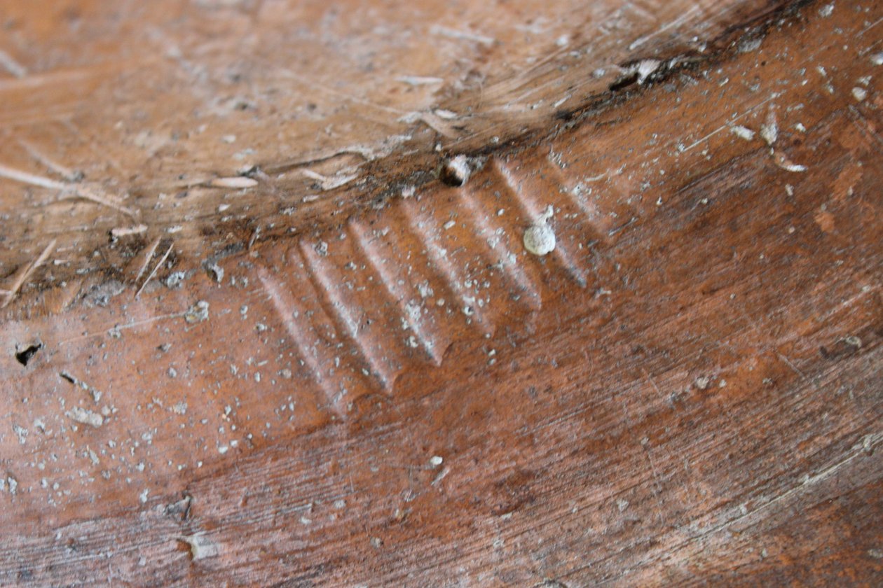 Detalhe do reverso de um prato de panelas de Adão e Eva, North Staffordshire de Thomas Toft