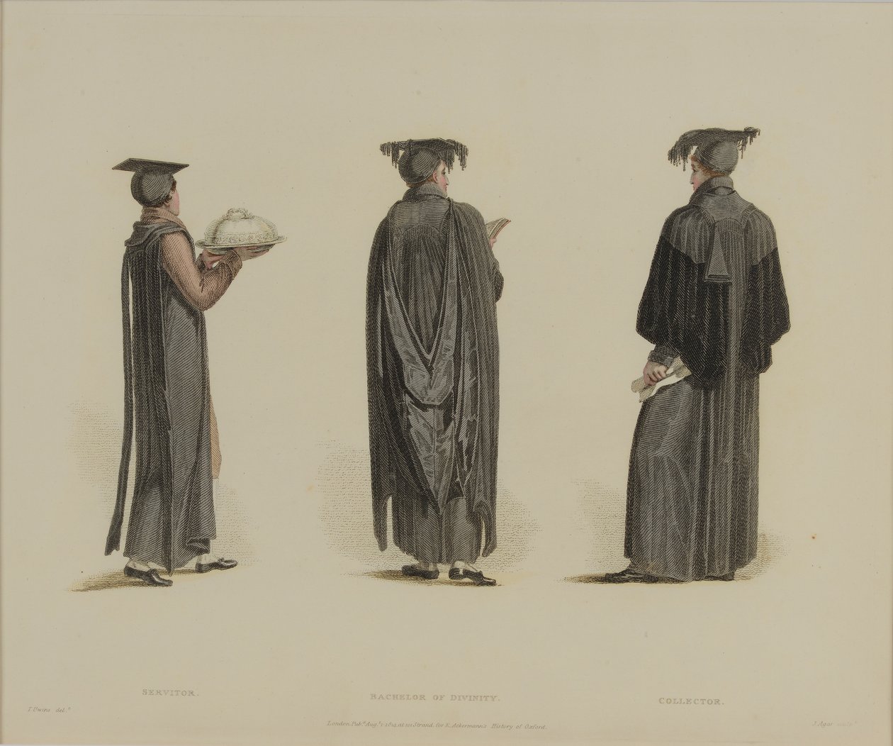 Servitor, Bacharel em Divindade, Colecionador, gravado por J. Agar, publicado em "História de Oxford" de R. Ackermann, 1814 (gravura colorida à mão) de Thomas Uwins