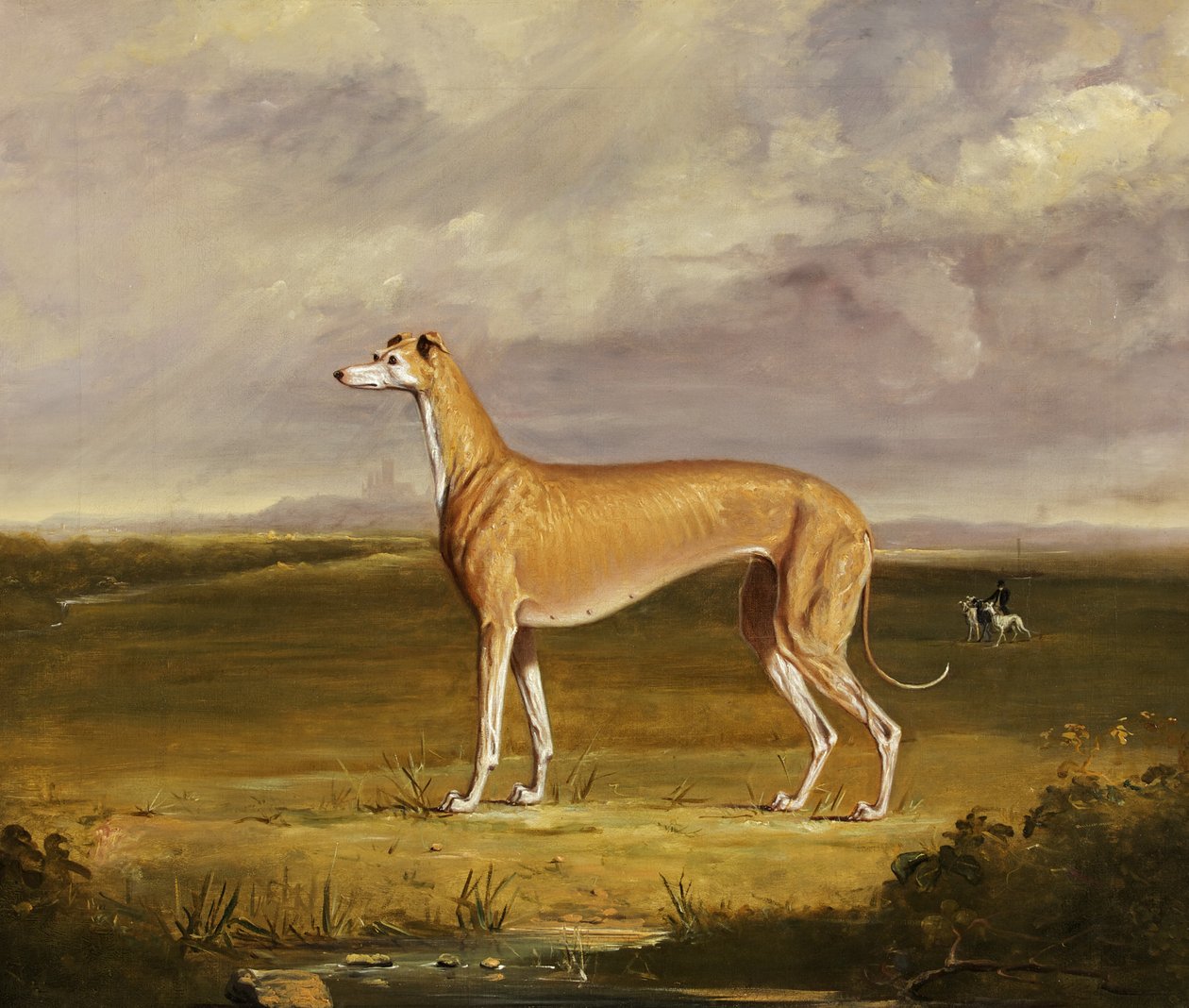 The Greyhound, c.1830 (óleo sobre tela) de Thomas W. Bretland