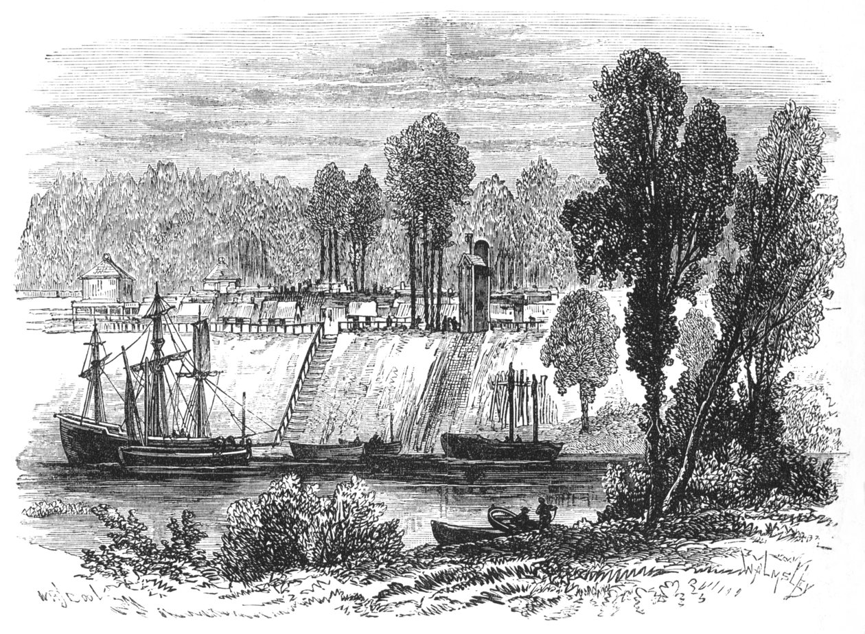 Savannah, c1880 de Thomas Walmsley
