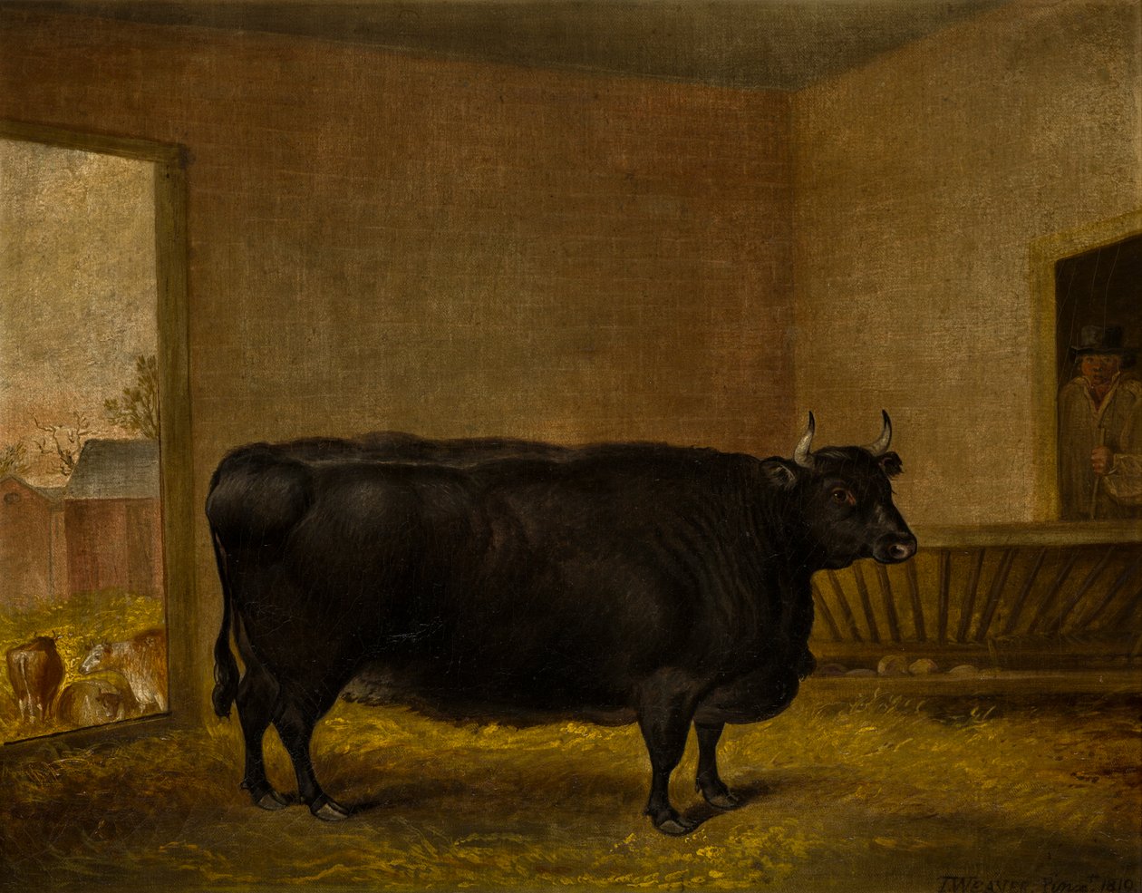 Um Touro Prémio: A Fat Kerry Cow, c.1819 (óleo sobre tela) de Thomas Weaver