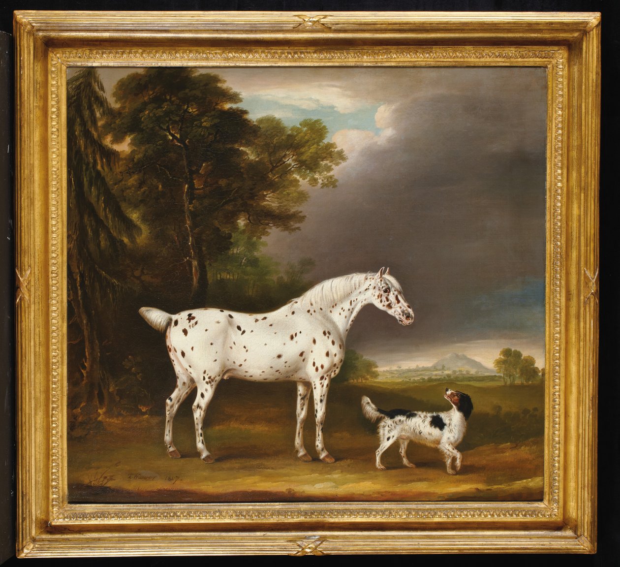 Cavalo e spaniel Appaloosa, 1807 de Thomas Weaver