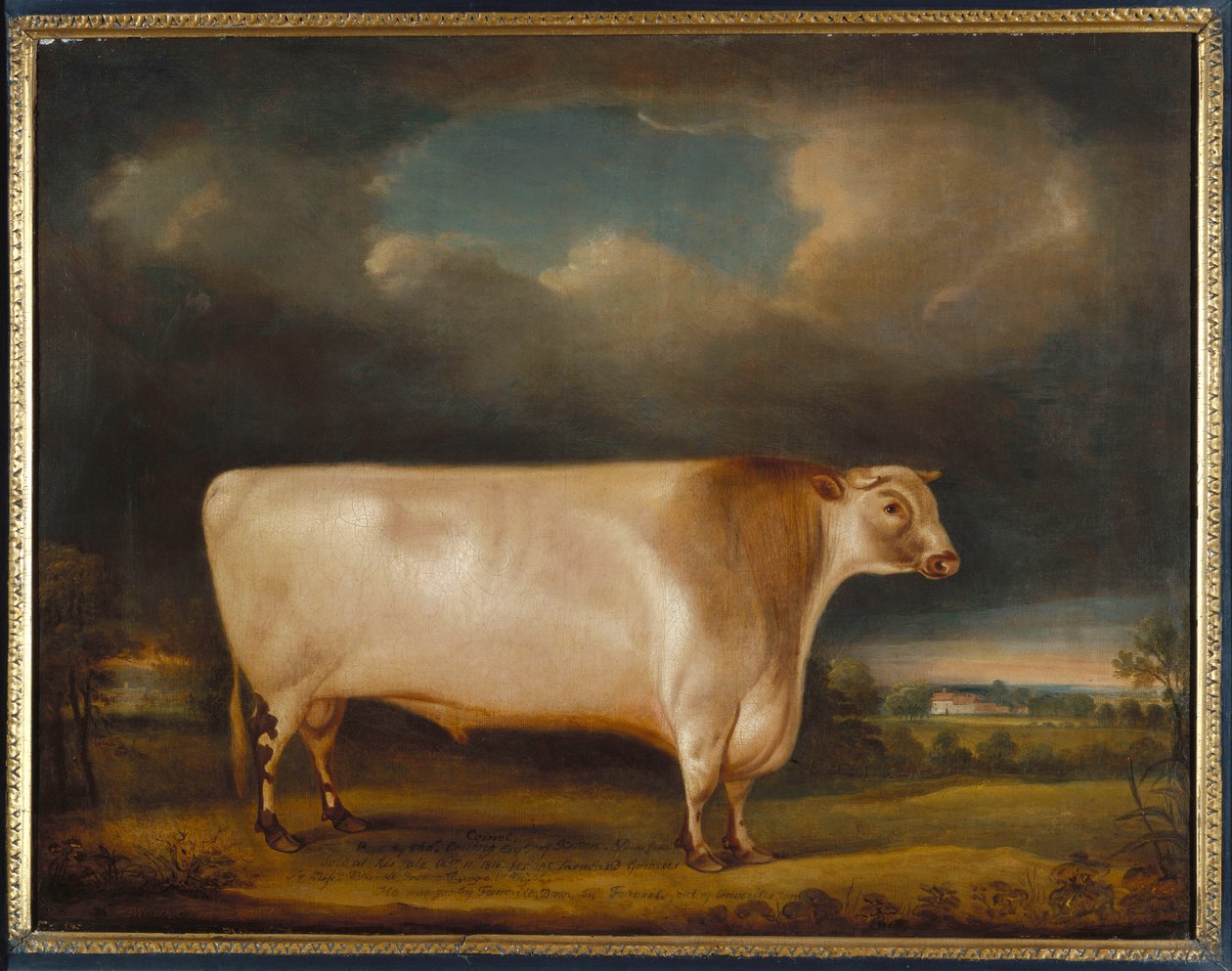 Cometa, um touro de chifre curto roan leve em uma paisagem, 1811 de Thomas Weaver