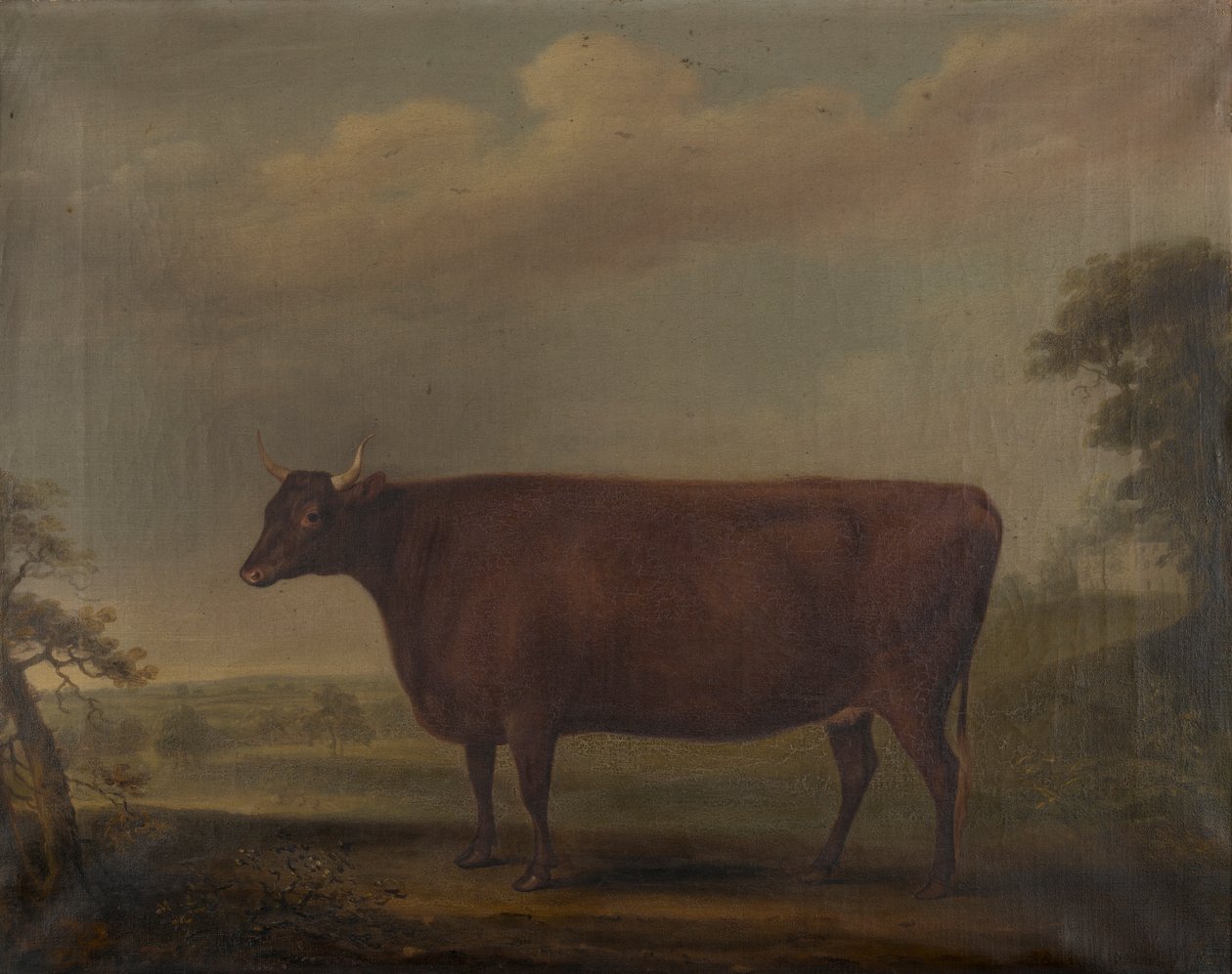 Vitelas Red Devon na paisagem, c.1812 (óleo sobre tela) de Thomas Weaver
