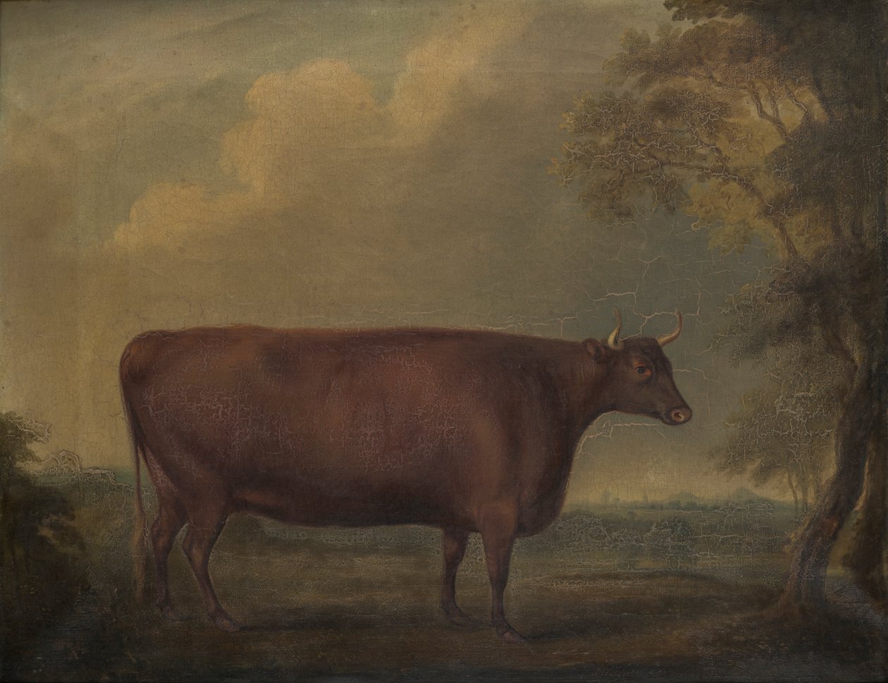 Red Devon Novilhas em paisagem, c.1812 (óleo sobre tela) de Thomas Weaver