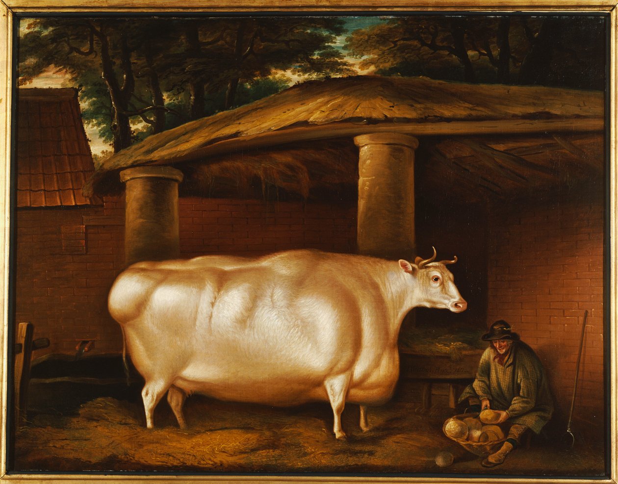 A novilha branca que viajava, com um homem cortando nabos em um quintal estável, 1811 de Thomas Weaver