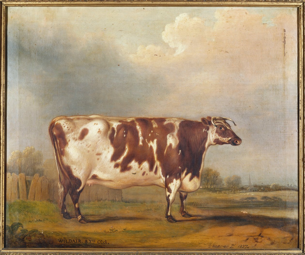 Wildair, uma novilha de oito anos em uma paisagem de rio, 1827 de Thomas Weaver