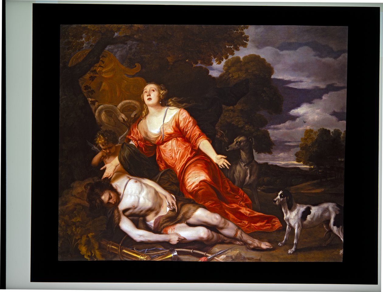 A morte de Adónis de Thomas Willeboirts Bosschaert