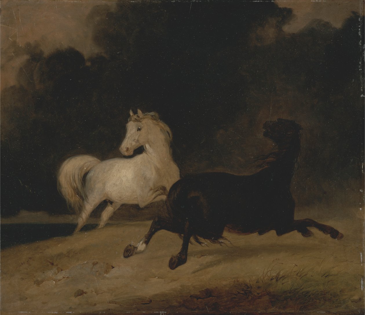 Cavalos numa tempestade de trovoada de Thomas Woodward