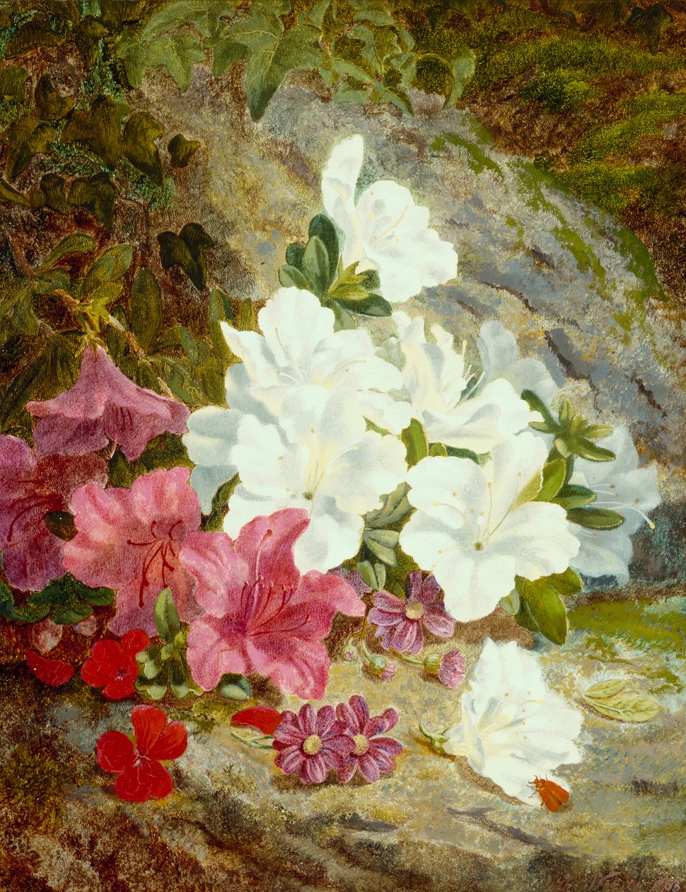 Azaléias (óleo sobre tela) de Thomas Worsey
