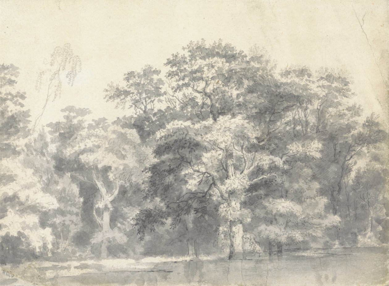 Árvores numa margem de um rio de Thomas Wyck