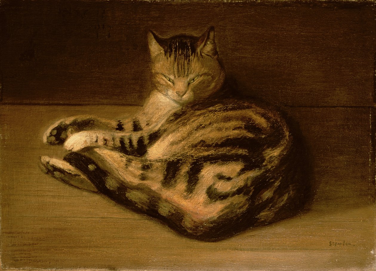 Gato Reclinado, 1898 de Théophile Alexandre Steinlen