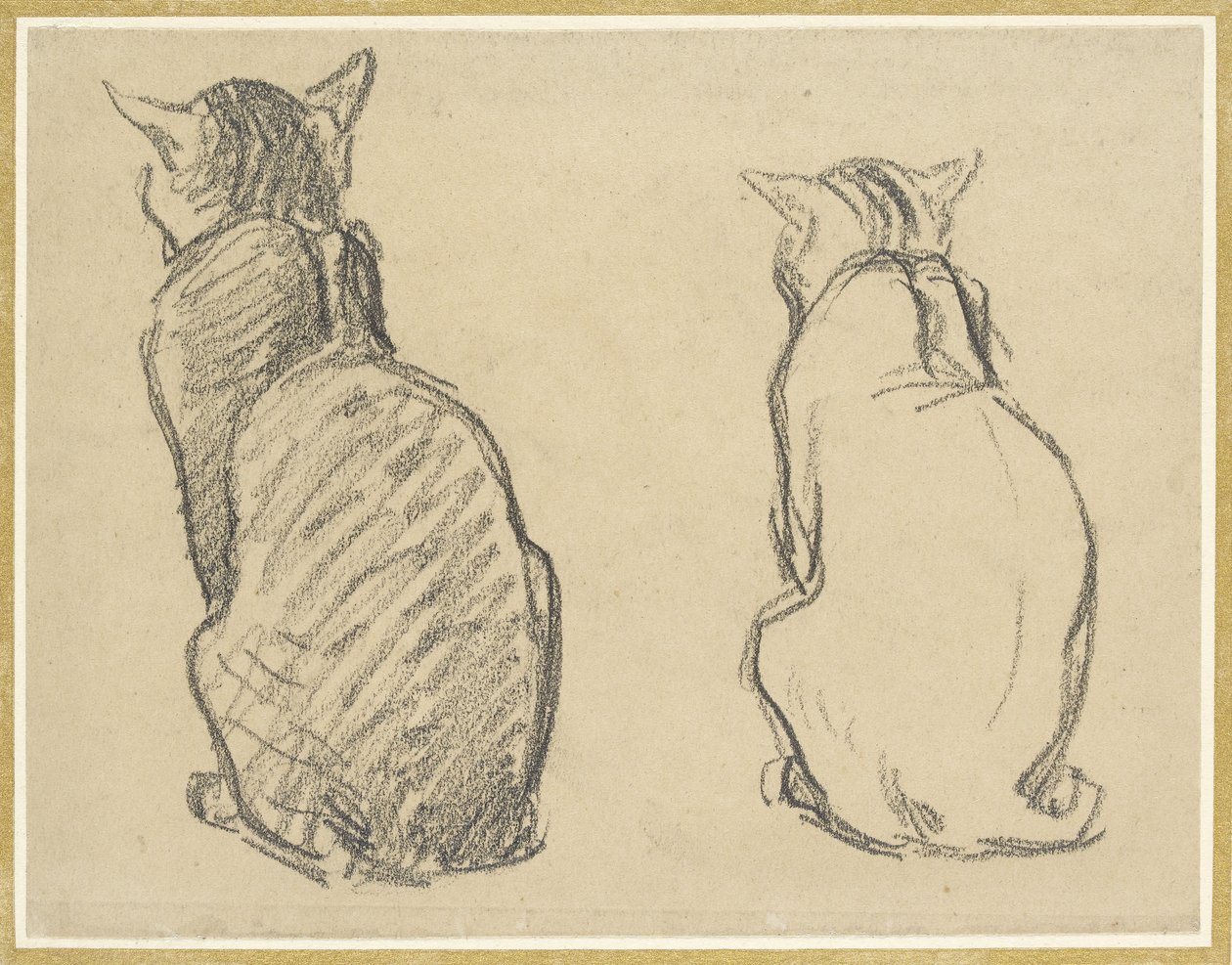 Dois estudos de um gato (grafite em papel tufado descolorido) de Théophile Alexandre Steinlen