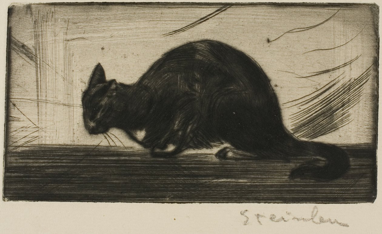 Gato a arquear o dorso de Théophile Alexandre Pierre Steinlen
