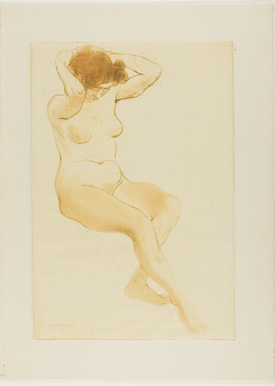 Mulher a arranjar o cabelo, vista de três quartos de Théophile Alexandre Pierre Steinlen