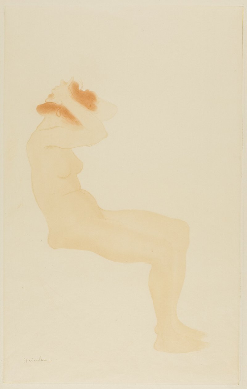 Mulher de perfil a arranjar o cabelo de Théophile Alexandre Pierre Steinlen