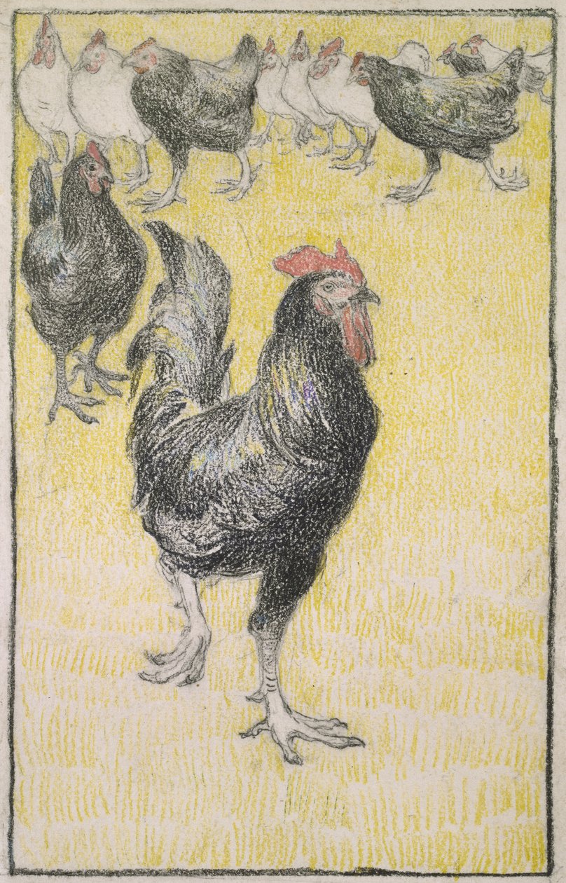 Galo, seguido por galinhas pretas e brancas (grafite com giz preto e colorido em papel branco, com uma linha de giz preto) de Théophile Alexandre Steinlen