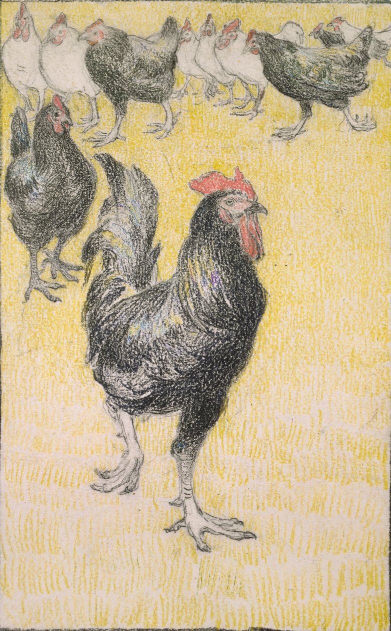 Cockerel, seguido de Hens preto e branco, 1899 de Théophile Alexandre Steinlen