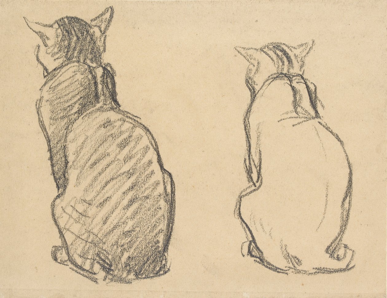 Dois Estudos de um Gato, início do século XX de Théophile Alexandre Steinlen