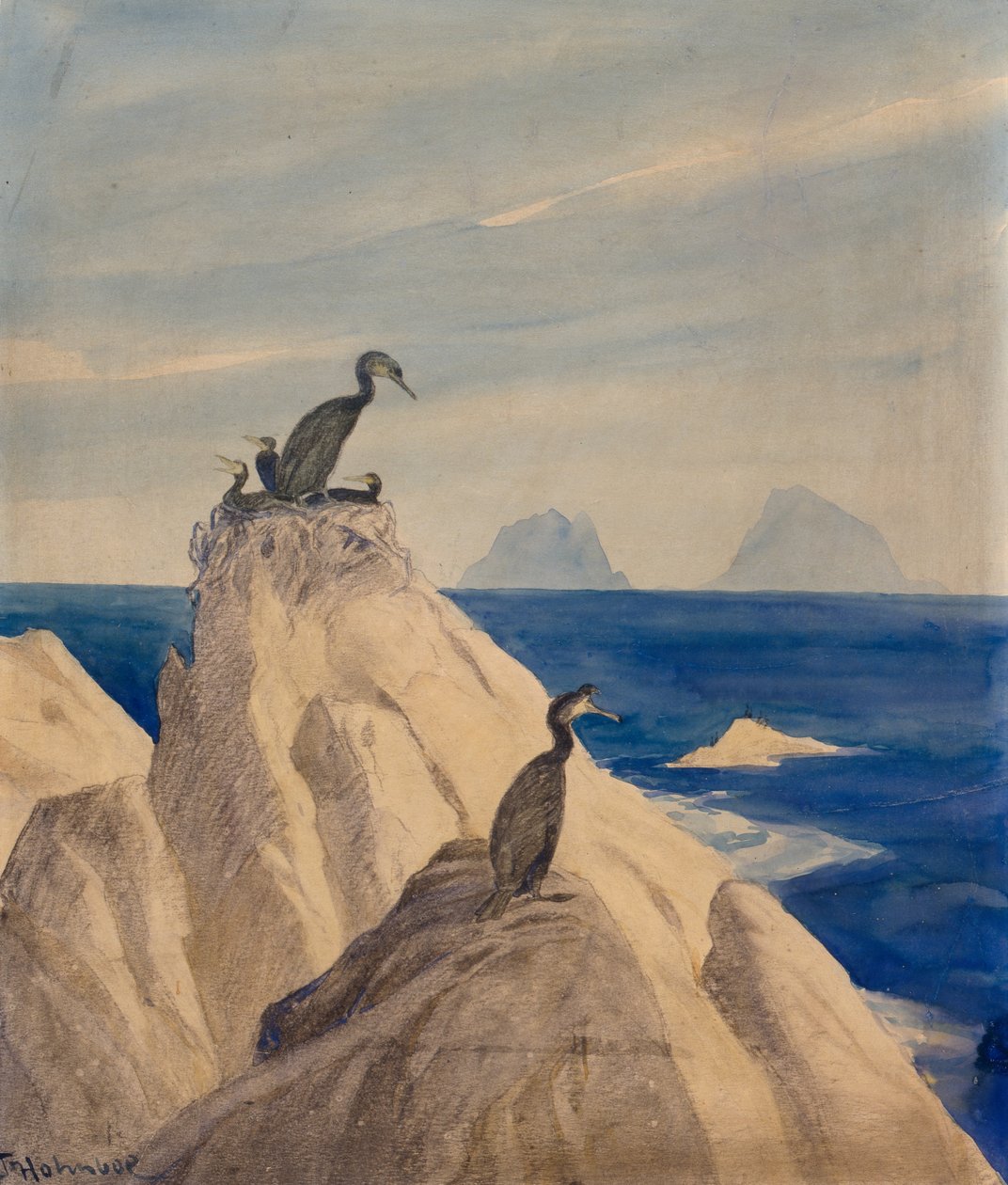 Gannets do Norte (lápis e aquarela sobre papel) de Thorolf Holmboe