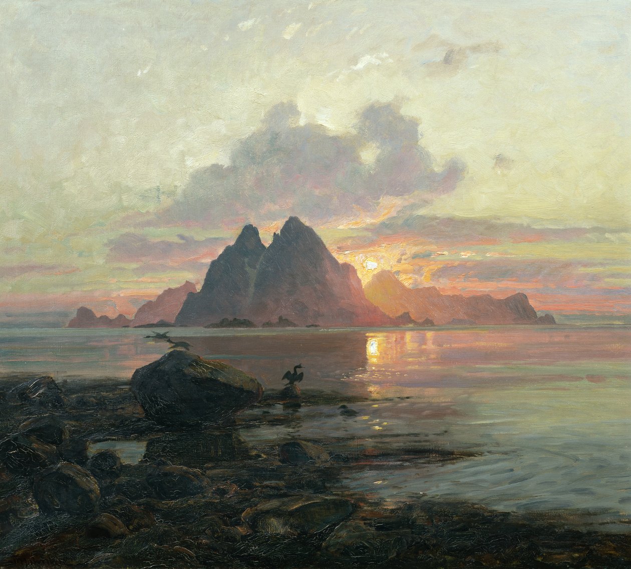 Phalacrocoarax aristotelis ao sol da meia-noite de Thorolf Holmboe
