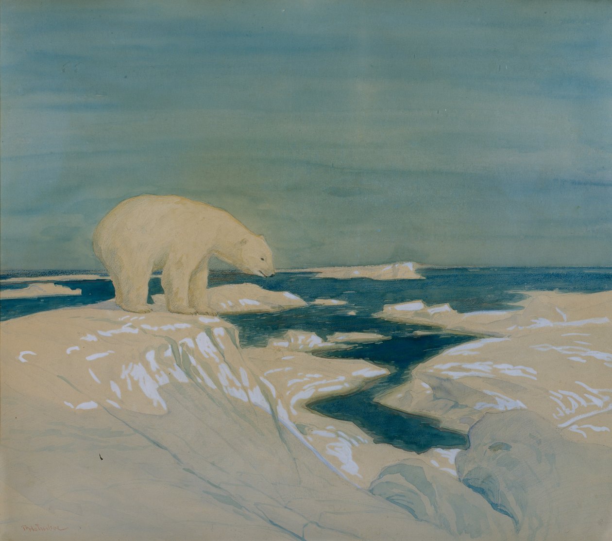Urso polar (aguarela sobre papel) de Thorolf Holmboe