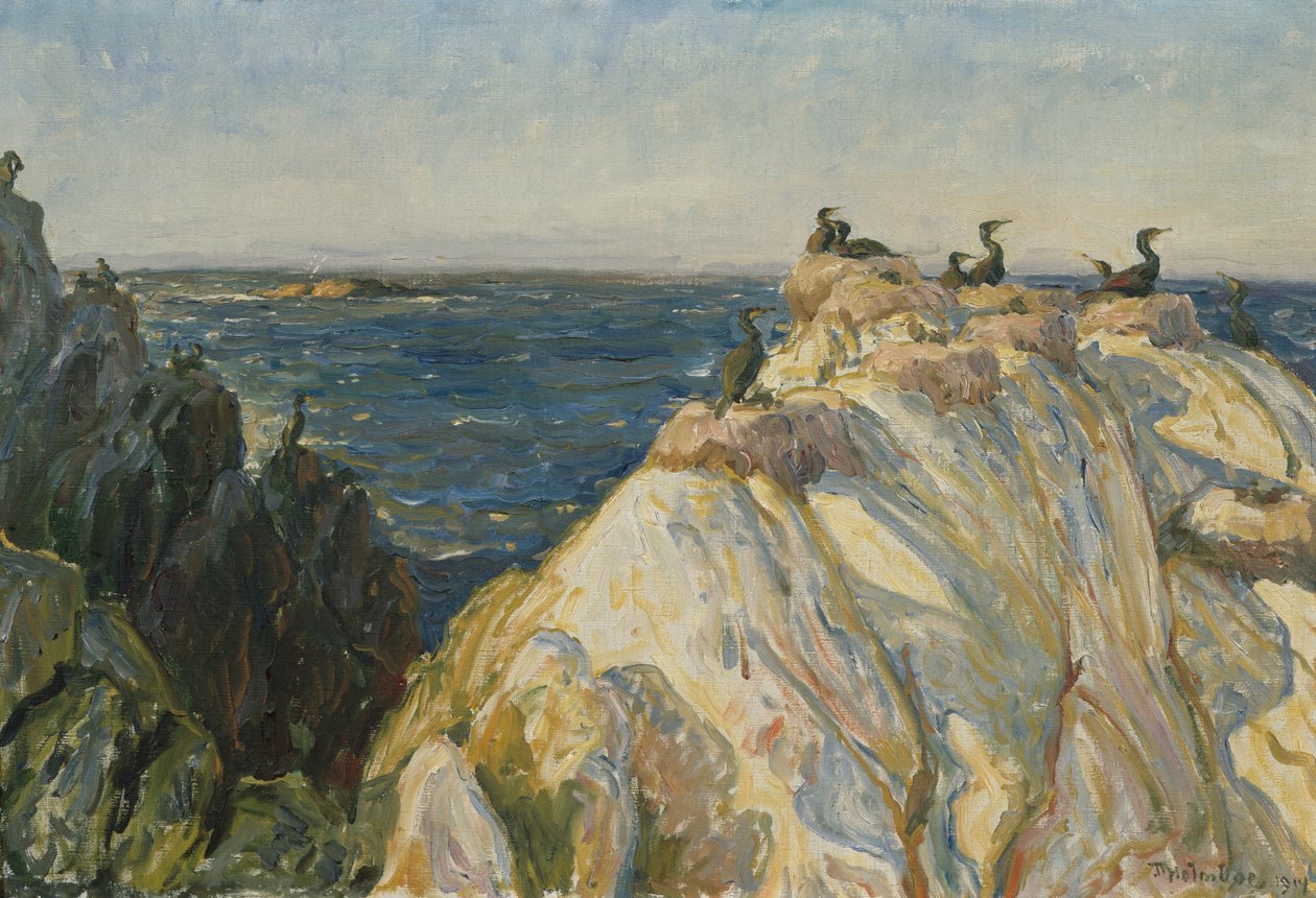 Ave marinha de Thorolf Holmboe