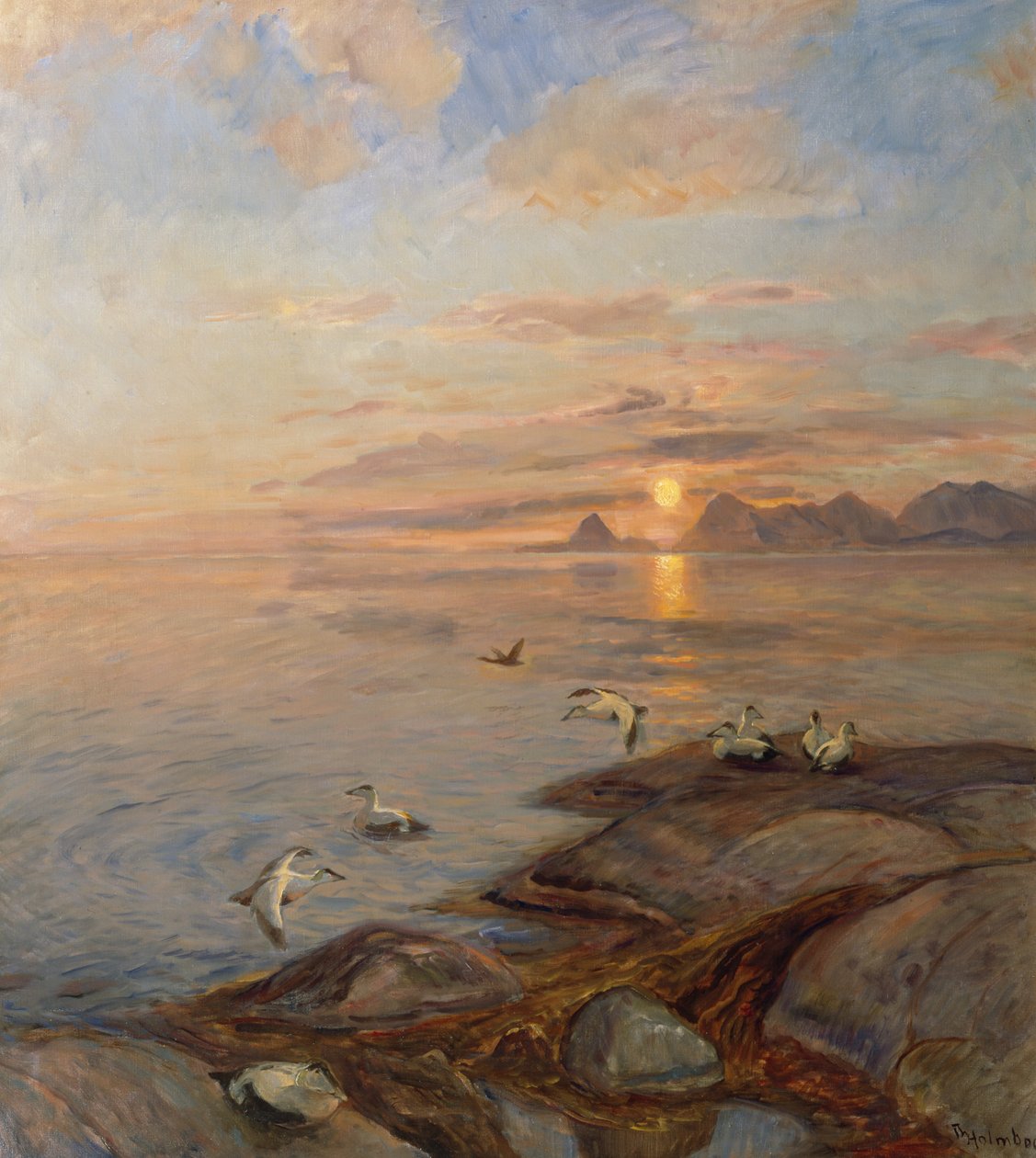 Aves marinhas ao sol da meia-noite (óleo sobre tela) de Thorolf Holmboe