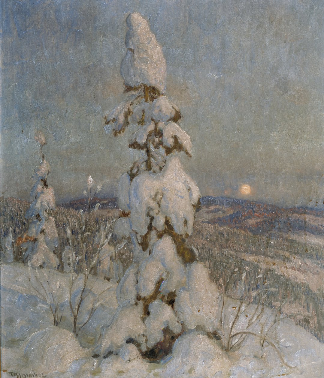 Abeto coberto de neve ao luar (óleo sobre tela) de Thorolf Holmboe