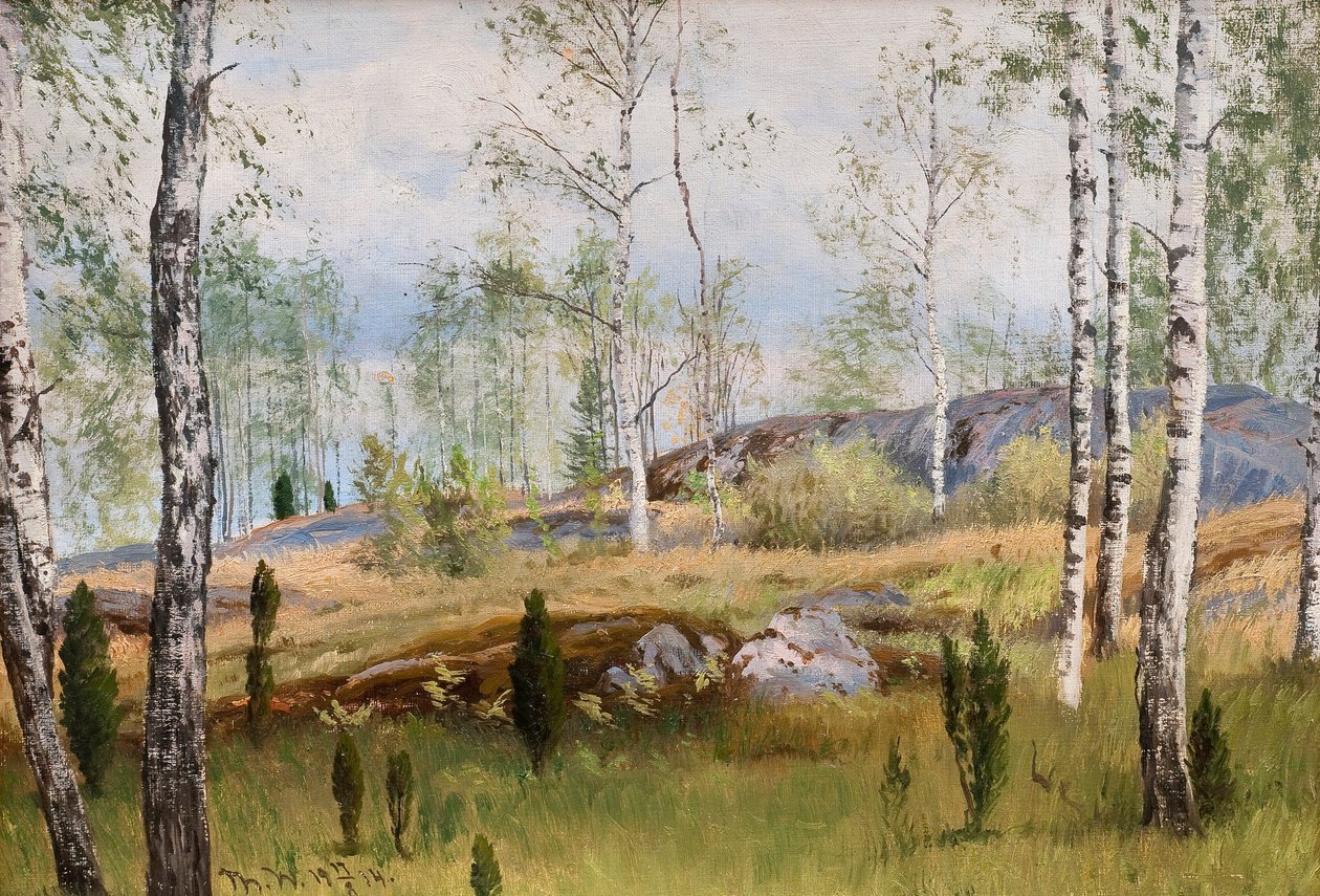 Bétulas de Thorsten Waenerberg