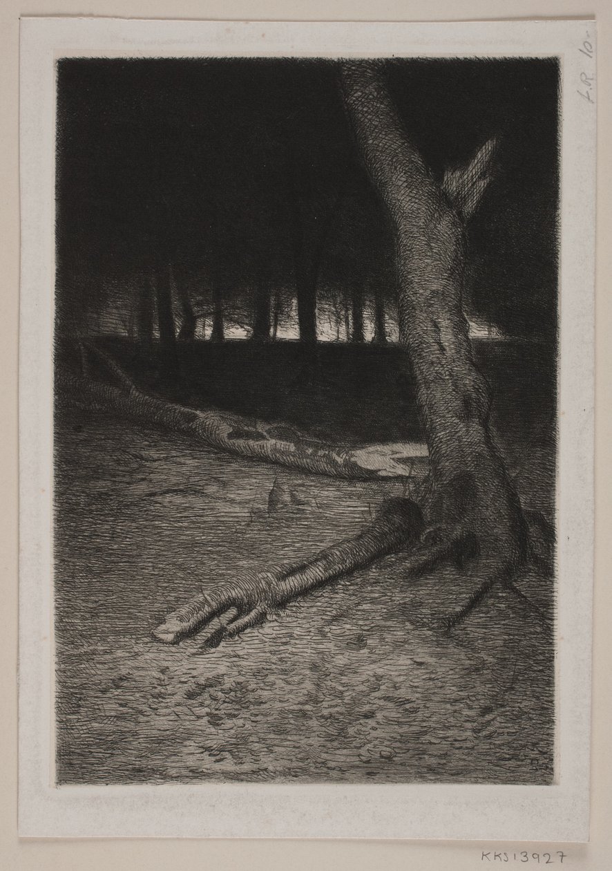 Interior da floresta. Tarde de Thorvald Niss