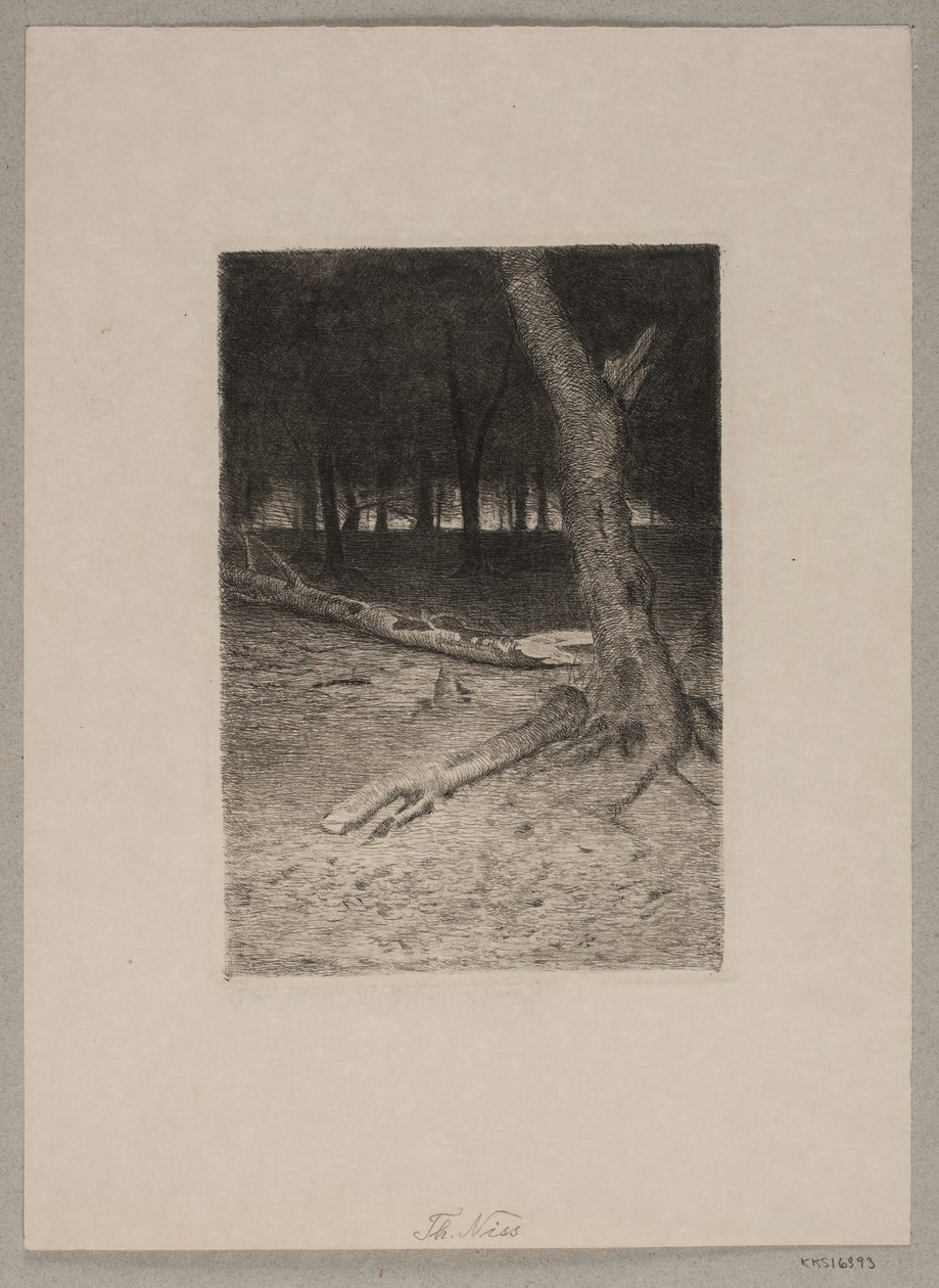 Interior da floresta. Tarde de Thorvald Niss