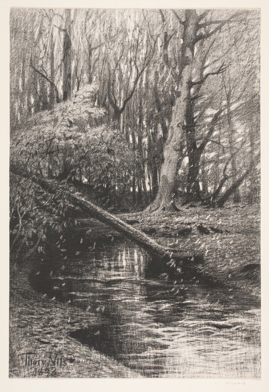 Paisagem da floresta com um riacho de Thorvald Niss