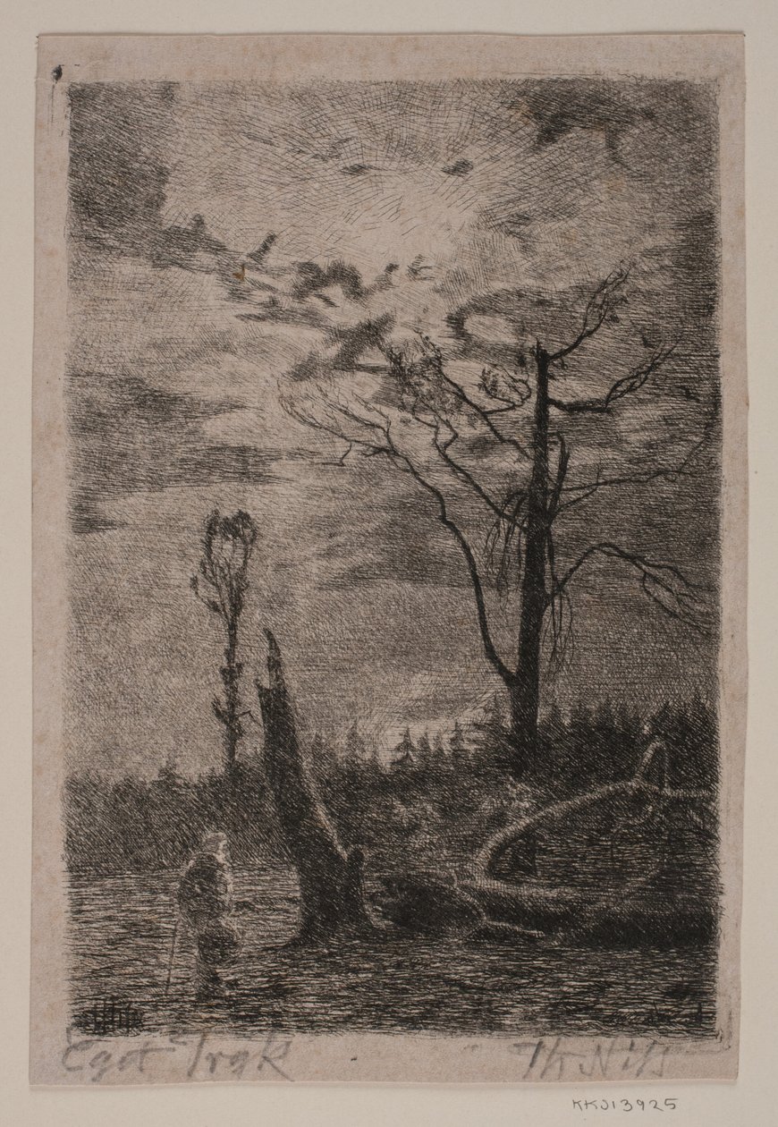 Desmatamento. Tarde de Thorvald Niss