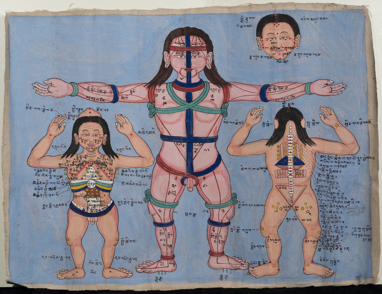 Gráfico anatômico (wc on canvas) de Tibetan School