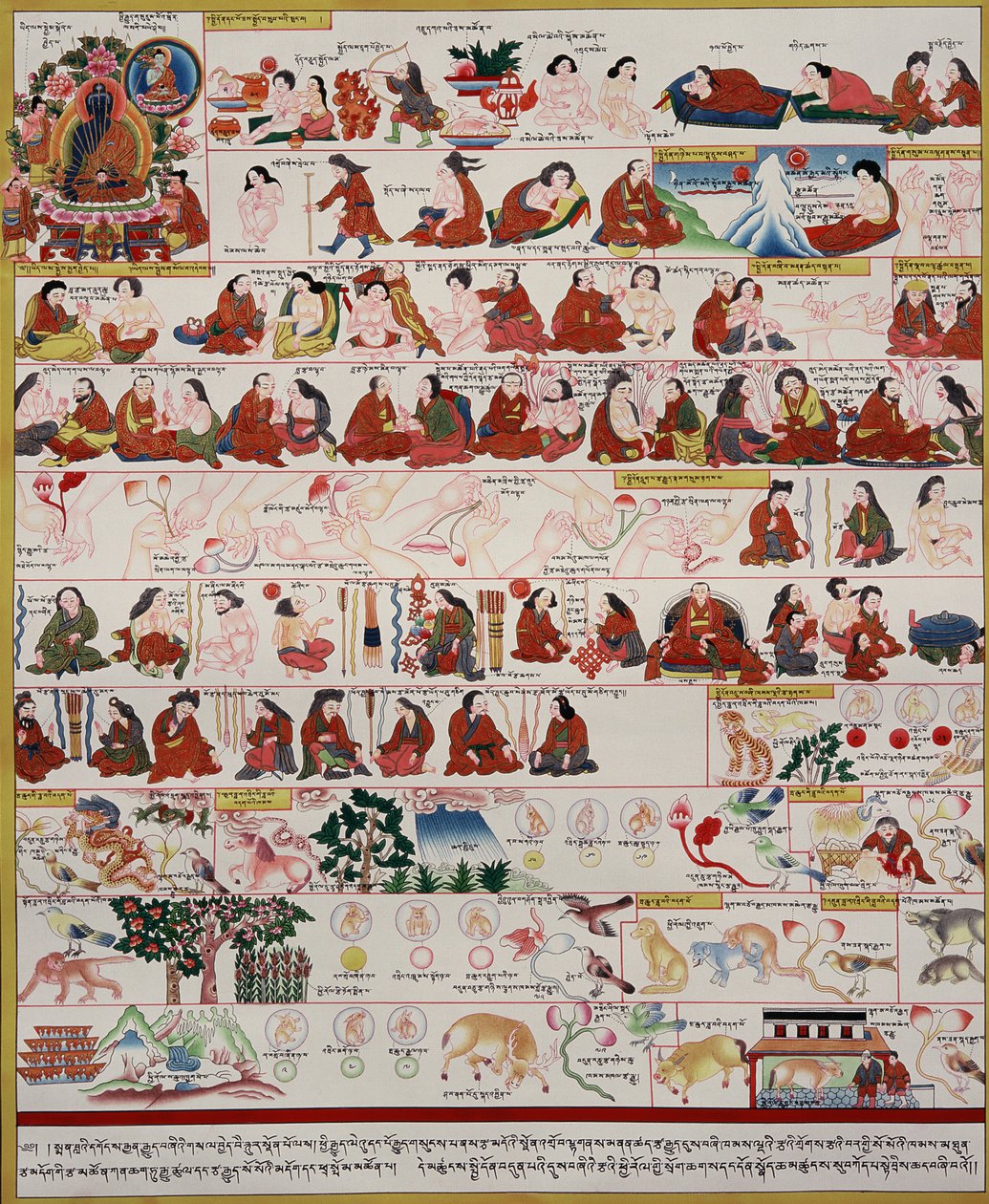 Manuscrito sobre medicina tibetana de Tibetan School