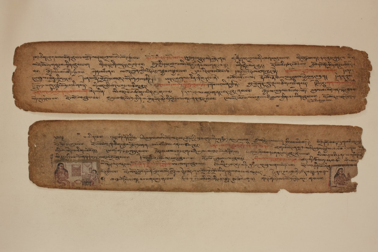  de Tibetan School