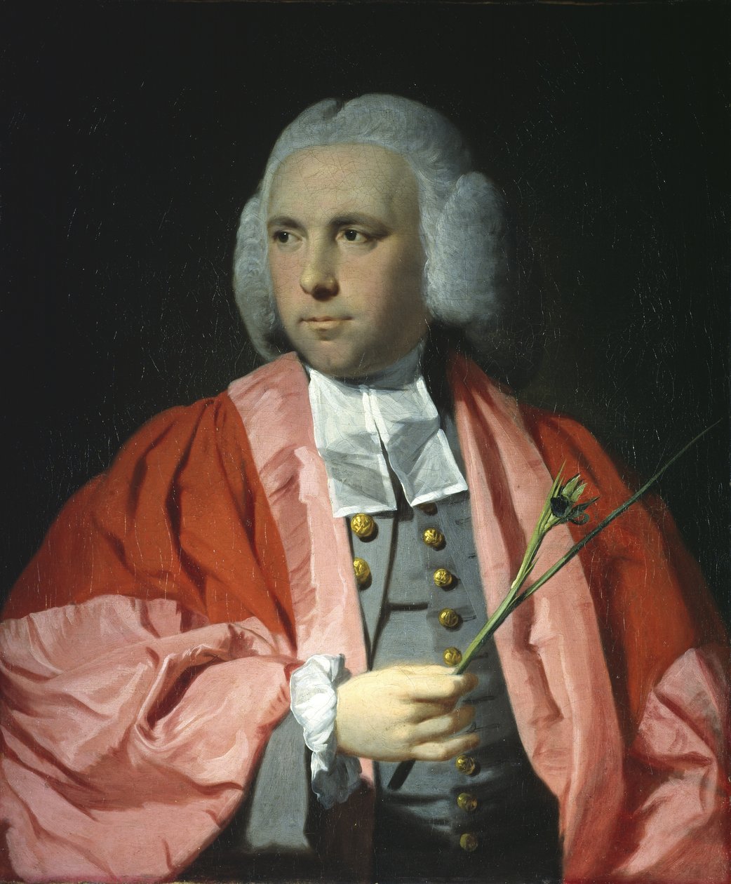 Retrato do Dr. Daniel Lysons, DCL, MD, c.1762-68 de Tilly Kettle