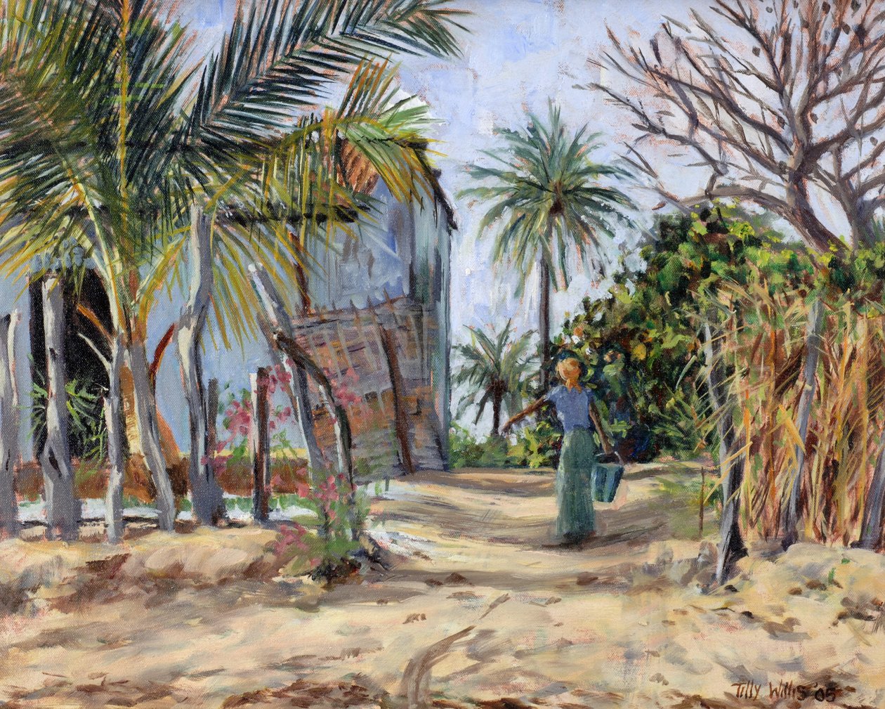 Buscando Água, 2005 de Tilly Willis