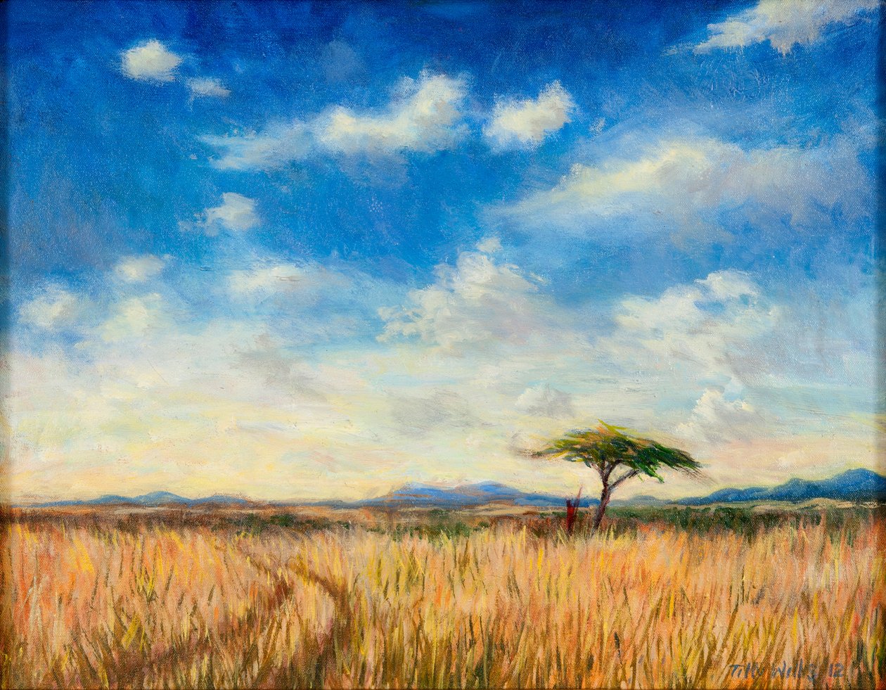 Mara Landscape, 2012 de Tilly Willis
