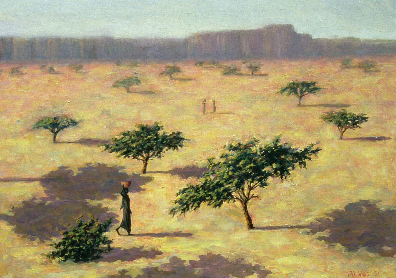 Paisagem do Sahel, Mali, 1991 de Tilly Willis