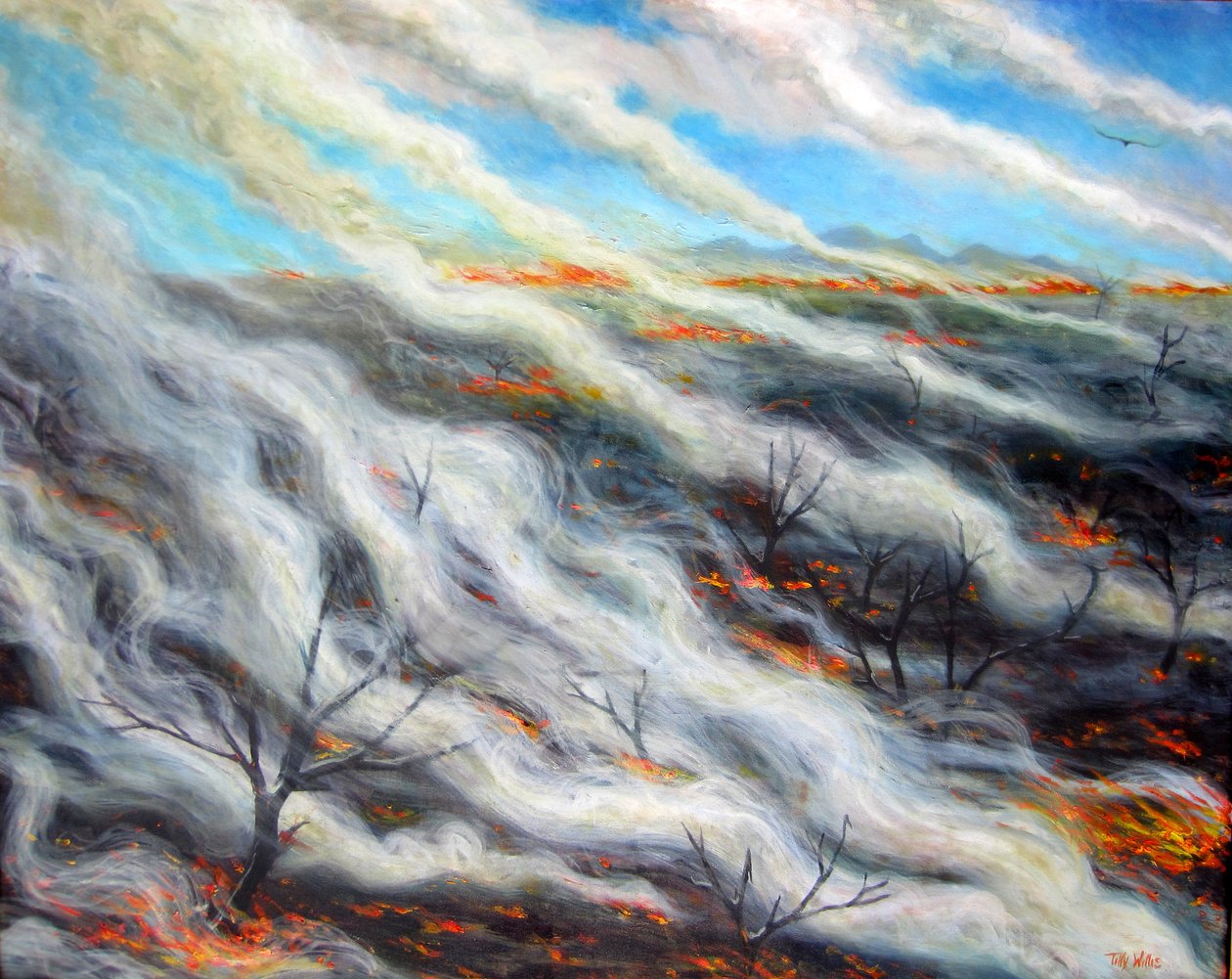 Terra arrasada, 2014, de Tilly Willis