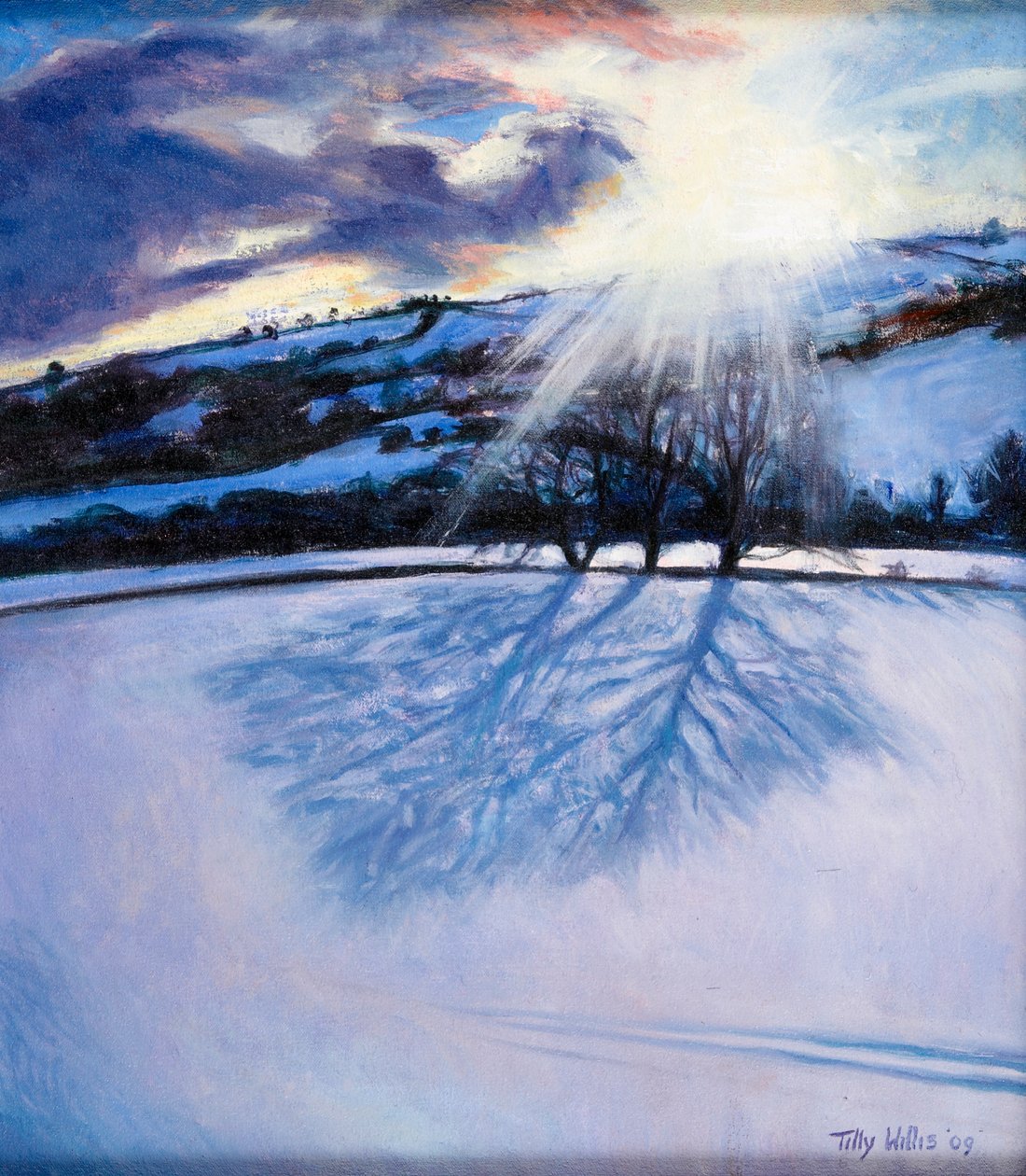Snow Shadows, 2009 de Tilly Willis