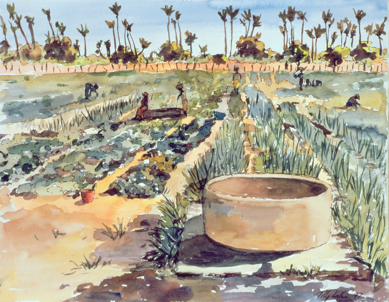 O Jardim das Mulheres, Senegal, África Ocidental, 1997 de Tilly Willis