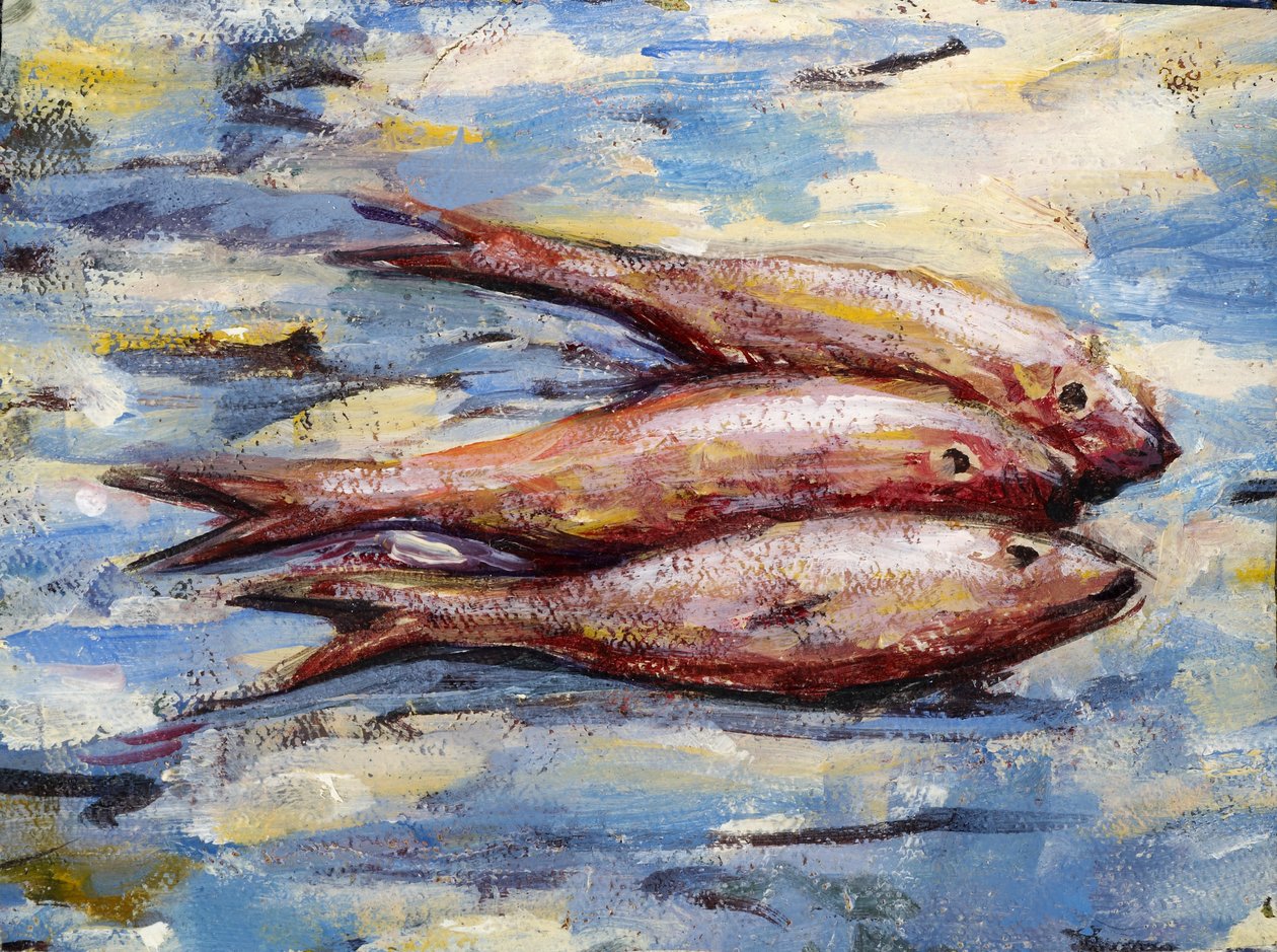 Três peixes de Tilly Willis