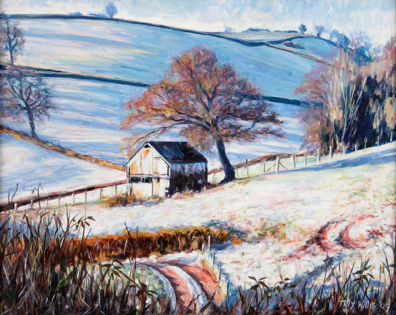 Geada do Inverno, 2009 de Tilly Willis